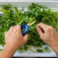 Happy Hydro | Trimming & Drying Kit | 4-Tier Drying Rack Bundle | Trimming Scissors