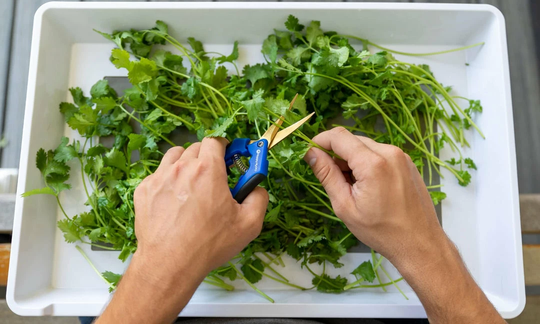 Best Sale ๐ฏ Happy Hydro | 'Trim-Jail' Kit | Kief Collector | 6-Tier Drying Rack ๐ฅ 4 Happy Hydro | 'Trim-Jail' Kit | Kief Collector | 6-Tier Drying Rack