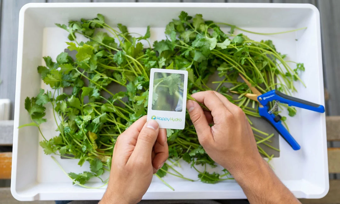 Cheap ๐ Happy Hydro Kief Collector Laptop Trimming Tray Harvest & Essentials ๐ 2 Happy Hydro Kief Collector Laptop Trimming Tray Harvest & Essentials