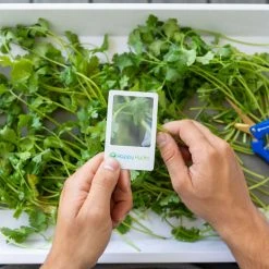 Harvest & Essentials Happy Hydro | Trimming Kit | Kief Collector | Trimming Scissors