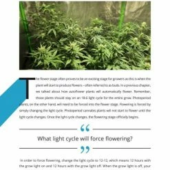 Buy ๐ฏ Happy Hydro Beginner Complete Coco Grow Tent Kit | Spider Farmer LED | 3โ X 3โ ๐งจ 29 Happy Hydro Beginner Complete Coco Grow Tent Kit | Spider Farmer LED | 3โ X 3โ