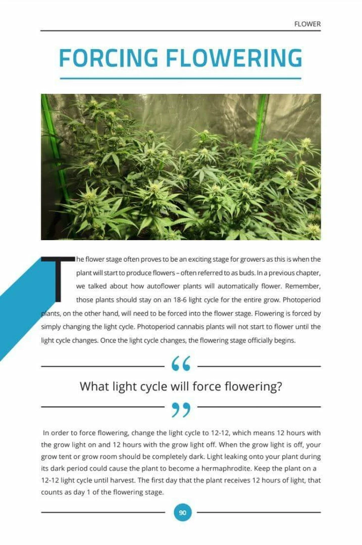 Wholesale ๐ Happy Hydro Beginner Complete Coco Grow Tent Kit | Spider Farmer LED | 2โ X 2โ Grow Tent Kits ๐ 15 Happy Hydro Beginner Complete Coco Grow Tent Kit | Spider Farmer LED | 2โ X 2โ Grow Tent Kits