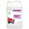 Planting & Watering Botanicare Sweet Berry Quart