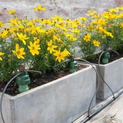 Blumat Potted Plant Watering Set For 10 To 15 Gallon Pots Planting & Watering