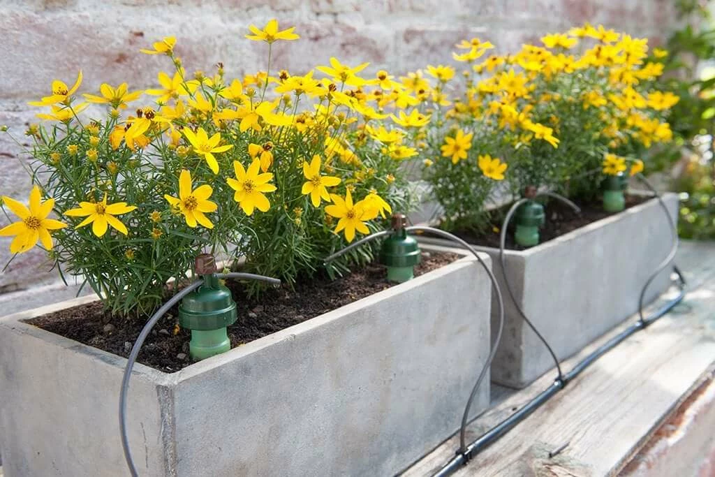 Discount ๐ Blumat Planting & Watering Potted Plant Watering Set For 4 To 6 Gallon Pots ๐ 3 Blumat Planting & Watering Potted Plant Watering Set For 4 To 6 Gallon Pots